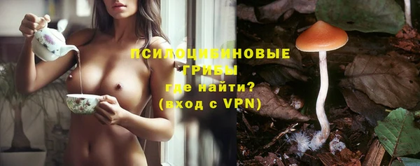 ГАЛЛЮЦИНОГЕННЫЕ ГРИБЫ Касимов