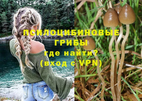 ГАЛЛЮЦИНОГЕННЫЕ ГРИБЫ Касимов
