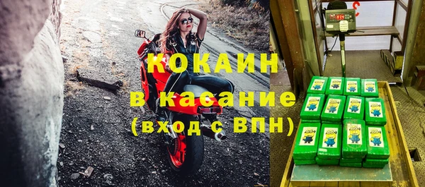 ГАЛЛЮЦИНОГЕННЫЕ ГРИБЫ Касимов